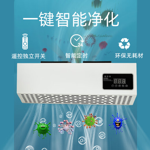 Aijenu wall-mounted ozone sterilizer food factory clean workshop canteen school deodorization formaldehyde sterilization generator 10g paint resistant to rust (remote control + appointment timer)