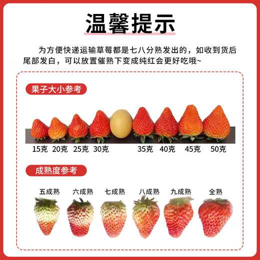 Jingmi Dandong Strawberry 99 Beauty Cream Fruit Gift Box Fresh, Net Weight 1Jin Jin is equal to 0.5kg, single fruit 15g + straight from the source