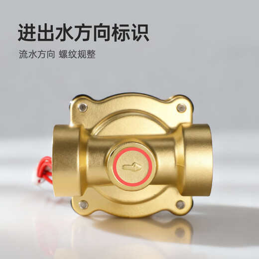 Wawaston solenoid valve copper electric water valve oil valve air valve water inlet valve normally closed switch valve 4 points AC220V 2W-160-15 copper