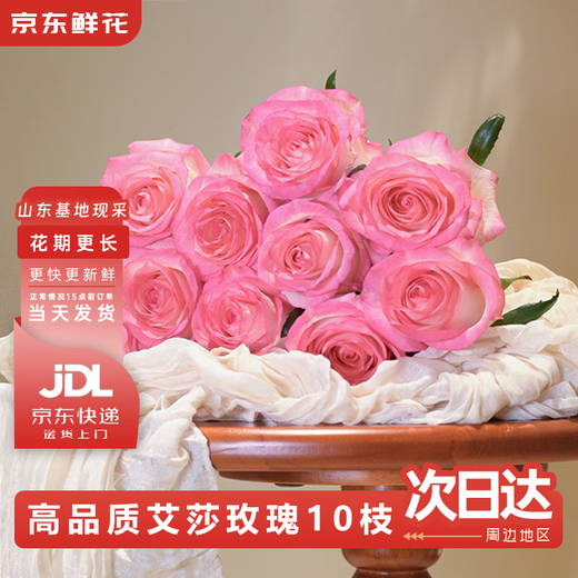 Jingdong flowers rose Aisha 10 stems soilless cultivation branch length 50-55cm gift flower Shandong base source straight
