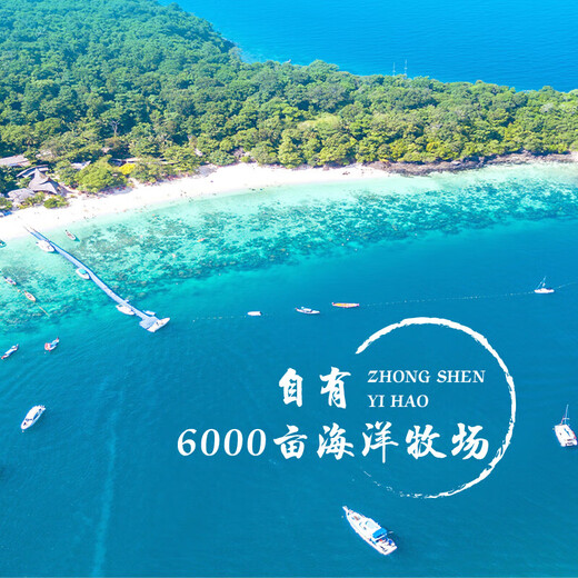 即食底播零添加刺参，固形物80%/滋补500g/8-20头/单装更方便 8-12头/斤 1000g优惠装