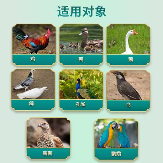 Egg Duoduo chickens, ducks, geese, general egg-laying treasure, egg-stimulating egg-stimulating device, special feed additive for improving egg quality in cold weather, 1 bag, large eggs, more eggs, good egg quality, 100g