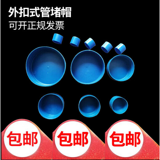 Zhuo Shikun external buckle steel pipe plastic pipe cap dustproof protective plug round head power round pipe thread blue protective sleeve 20mm blue (pack of 10)