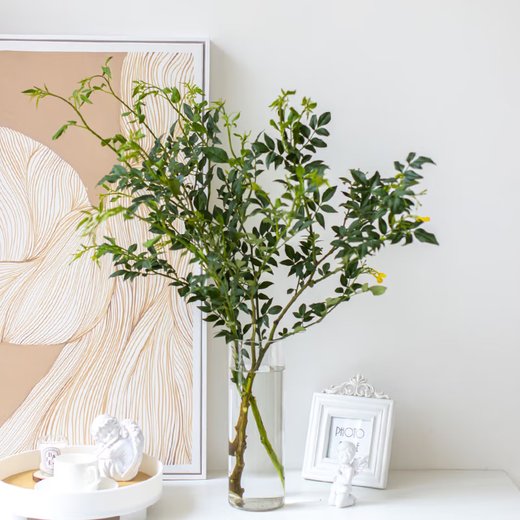 Nine-star leaf high-end Yunnan flowers water-grown fresh cut flowers Valentine's Day gift New Year's decoration flowers Nine-star leaf 1 bunch (8-10 branches)