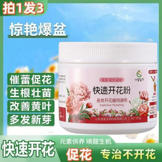 Быстроцветущий розовый чай, османтус, бугенвиллея, жасмин, новые крепкие саженцы, рекламная акция для балконных цветов, удобрение для цветов в горшках, специальное мероприятие для быстрого цветения 01 08, импульс за полцены, три большие бутылки по 750 г, купите одну и получите две бесплатно.