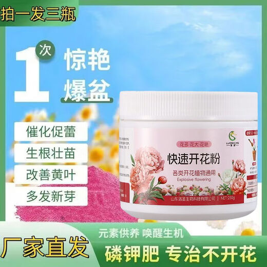 Быстроцветущий розовый чай, османтус, бугенвиллея, жасмин, новые крепкие саженцы, рекламная акция для балконных цветов, удобрение для цветов в горшках, специальное мероприятие для быстрого цветения 01 08, импульс за полцены, три большие бутылки по 750 г, купите одну и получите две бесплатно.