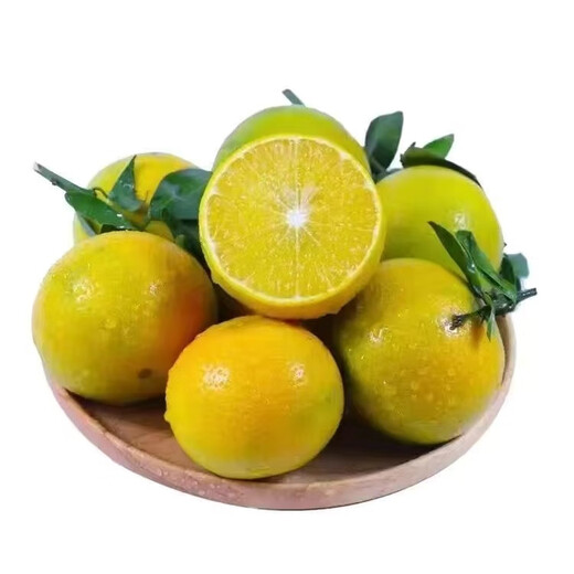 京觅正宗德庆皇帝柑新鲜水果贡柑 净8.8斤 礼盒单果60mm+源头直发包邮