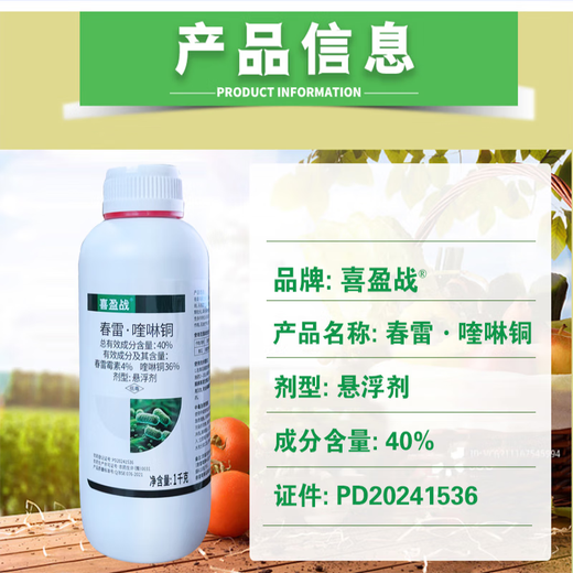 40% Kasugamycin Copper Fungicide Pesticide Cucumber Bacterial Angular Spot Kasugamycin Quinolinon 500g*10 bottles
