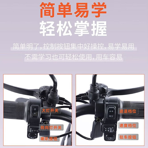 Flying Pigeon Electric Tricycle, Passenger and Cargo Dual-Purpose Car, Elderly People's Transport, Cargo and Cargo, Battery Car for Picking Up Children