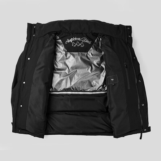 Heilan House (HLA) Down Jacket Men's 25 Autumn and Winter New Warm Duck Down Zipper Fly Stand Collar Large Size Top Men's Jacket Black 1B L /175/92A Recommended 70~80kg