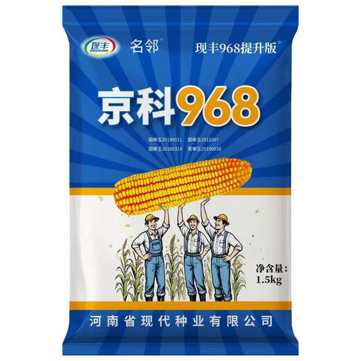 Rose Jingke 968 corn seeds, high yield, double sticks, low stems, lodging resistance, disease resistance, drought and waterlogging resistance, genuine national approved white shaft, new species promotion, genuine 3Jin Jin equal to 0.5kg, can be planted on 1.1 acres of land + nutritional coating