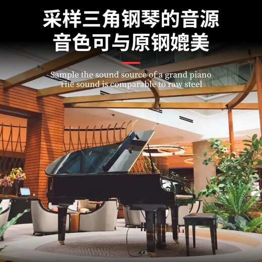 EVANLEY German hand-rolled piano portable 88-key Bluetooth professional version thickened arranger keyboard adult pocket electronic piano 88-key black standard version