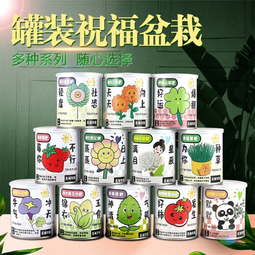 Children's canned plants magical desktop mini green plants creative small potted strawberry sunflower seeds blooming random 4 cans