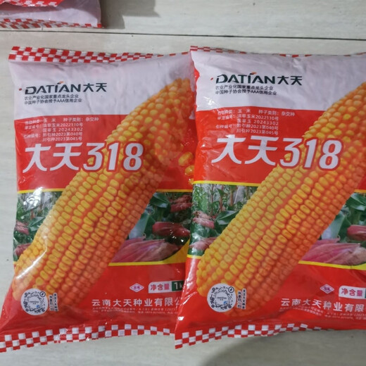 Datian 318 corn seed hybrid corn seed original orange yellow Yunnan corn seed bag original Datian 318 Yunnan hybrid corn seed original 2 kg