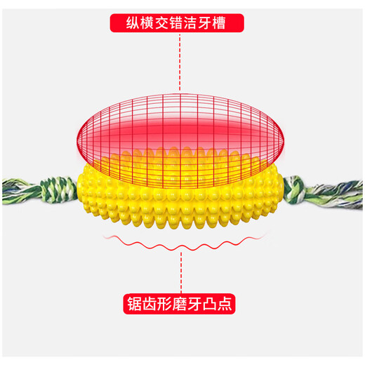 Cute star pet dog toy, teeth grinding corn cob, tooth cleaning, oral cleaning, pet supplies for large, medium and small dogs and puppies