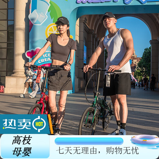 TERN Tern Verge D9 Folding Bike Adult Folding Bike Variable Speed Bike Folding Bike Silver Foil Color Upgraded Three Knife Classic Black-Concas Carbon