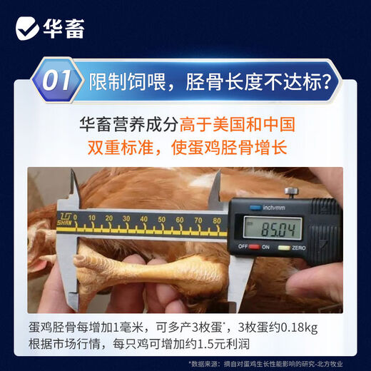 Huazhu 5 laying hen premix, special feed for chicks in the early stage of egg production, shell powder, soybean meal, trace element additives, 1 bag of laying hen egg premix 50Jin Jin is equal to 0.5kg