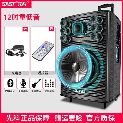 SAST Square Dance Audio Trolley Speaker Mobile Outdoor Home Karaoke Subwoofer High Power Bluetooth Portable 12-inch Shocking Subwoofer Sound Wooden Box