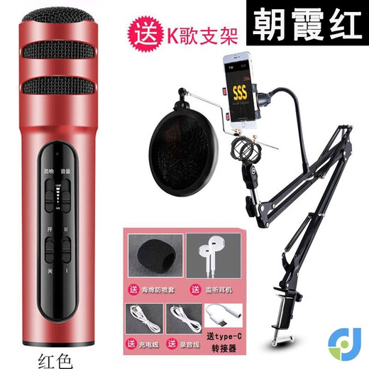 Liangyun mobile phone karaoke singing universal K brother artifact headset with microphone headset live singing bar microphone entertainment Zhaoxia red + cantilever bracket + type-C Android port