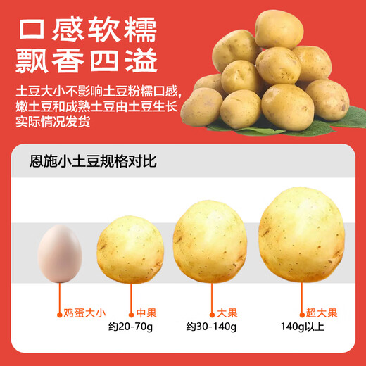Jingxiansheng Enshi small potatoes net weight 4.5Jin Jin equals 0.5kg Single fruit 30-100g Fresh yellow potatoes Straight from the source of potatoes