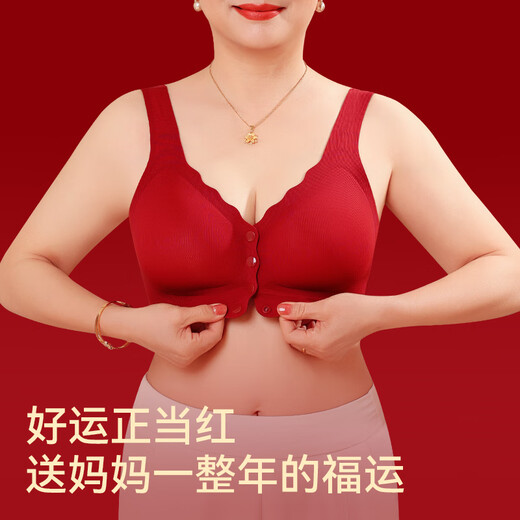 Cat Mother's Year of the Pig Underwear Set for Women, Large Size Red, Middle-aged and Elderly, Front Button Bra, Seamless Underwear, New Year's Gift, Front Button, Full Set + Gift Box, 3XL, Front Button, 140-160Jin Jin is equal to 0.5kg