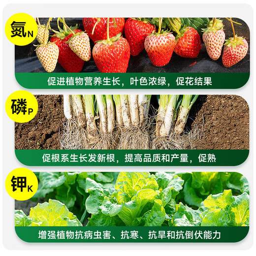 Instant high-efficiency compound fertilizer nitrogen, phosphorus and potassium general flower, fruit and vegetable compound fertilizer nitrogen, phosphorus and potassium fertilizer 10-100 Jin Jin equals 0.5 kg High-efficiency instant multi-element compound fertilizer 20 Jin Jin equals 0.5 kg