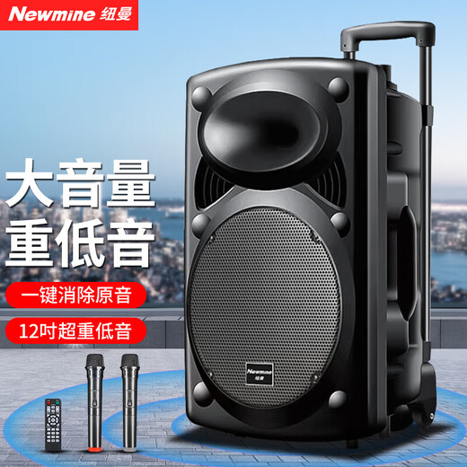 Newmine B12 square dance audio 12-inch outdoor high-volume Bluetooth trolley speaker high-power portable mobile performance karaoke subwoofer street stall speaker dual-wheat version