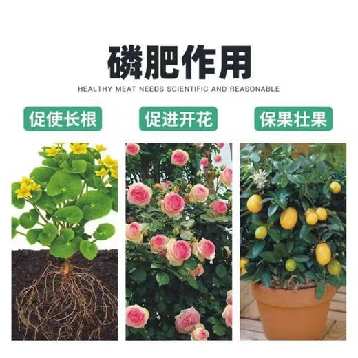 High calcium phosphate fertilizer powder superphosphate flower inducing fertilizer gardening fruit and vegetable potted general chemical fertilizer phosphorus and potassium fertilizer factory direct hair powdered high calcium phosphate fertilizer/superphosphate superphosphate high calcium phosphate fertilizer 5.0Jin Jin equals 0.5kg