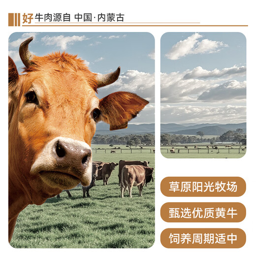 Yueshengzhai Chilled Beef Domestic Beef Brisket 2Jin Jin equals 0.5kg Inner Mongolia Beef Fresh New Year Gifts and New Year Goods