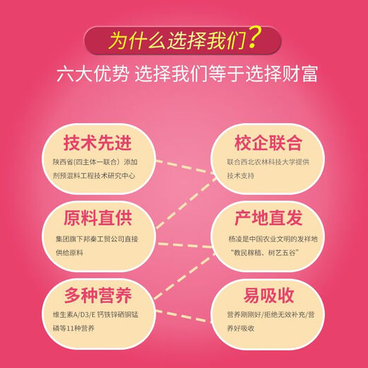 Bibang 5% cattle and sheep premix breeding ewe fattening feed cow compound additive trace elements for breeding sheep 5% dairy sheep general T9235