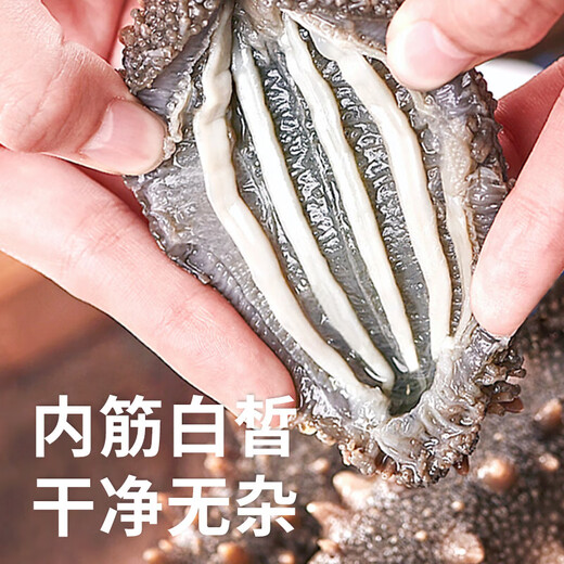 即食底播零添加刺参，固形物80%/滋补500g/8-20头/单装更方便 8-12头/斤 1000g优惠装