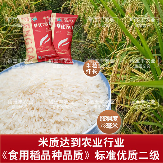 Dao Yufeng Agriculture Water-saving drought-resistant rice Hanyou 761 rice seeds Special heat-resistant type for upland rice with well-developed root system Hanyou 761 upland rice seeds 500g 3 bags (free rice gift package)