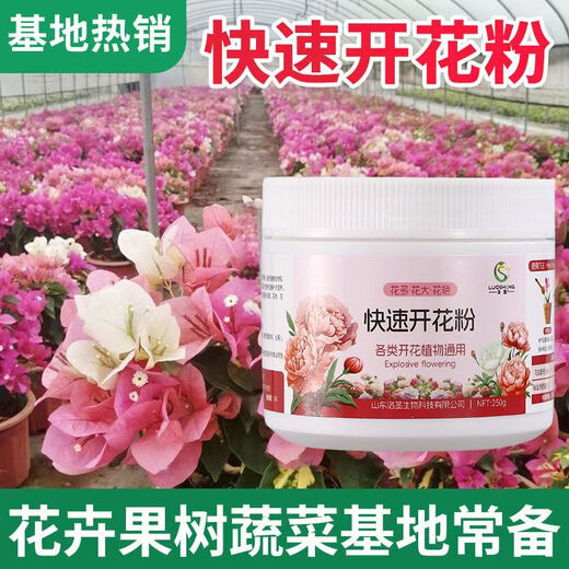 Быстроцветущий розовый чай, османтус, бугенвиллея, жасмин, новые крепкие саженцы, рекламная акция для балконных цветов, удобрение для цветов в горшках, специальное мероприятие для быстрого цветения 01 08, импульс за полцены, три большие бутылки по 750 г, купите одну и получите две бесплатно.