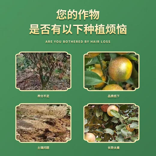 Fruit tree special fertilizer base fertilizer treasure to condition the soil to improve tree vigor, supplement nutrients, improve quality and increase production, granular water-soluble fertilizer fruit tree base fertilizer treasure, genuine and original 1000g*1 bag