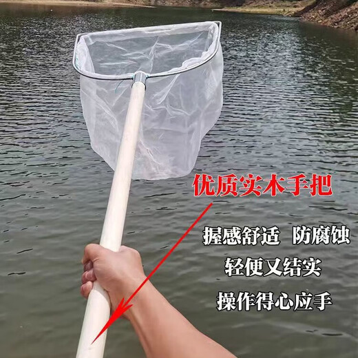 Ultra-dense eye 100 mesh wooden handle stainless steel fishing net copy fish net pocket fish net set fish dung fishing gear fish pond cleaning 30 cm handle square head double border