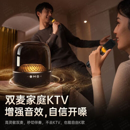 Jinyun Liuli 6th generation K-song microphone all-in-one Bluetooth speaker wireless singing home KTV audio karaoke set microphone Voice of Berlin outdoor audio gift G5