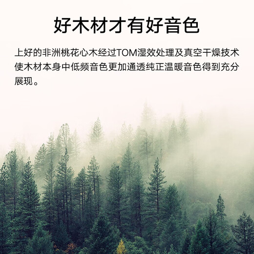 TOM T5尤克里里初学者成人儿童入门桃花心木单板ukulele小吉他 21英寸T5+大礼包