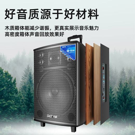 SAST Square Dance Audio Trolley Speaker Mobile Outdoor Home Karaoke Subwoofer High Power Bluetooth Portable 12-inch Shocking Subwoofer Sound Wooden Box