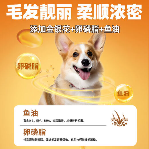 Zhenzhile Corgi special dog food 10 Jin Jin is equal to 0.5 kg, small dog puppy adult dog food to increase buttocks, gain weight, care for the stomach and prevent hair loss 5 kg. More customers choose the luxury six-pack Corgi special dog food 10 Jin Jin is equal to 0.5 kg, 0lb