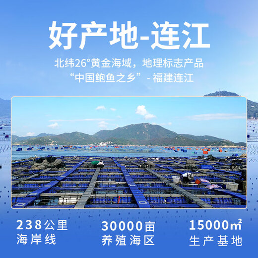 Xiangbin fresh frozen large abalone, net weight 400g (10 pieces) bagged, hot pot, barbecue, braised, soup, seafood, New Year's gift