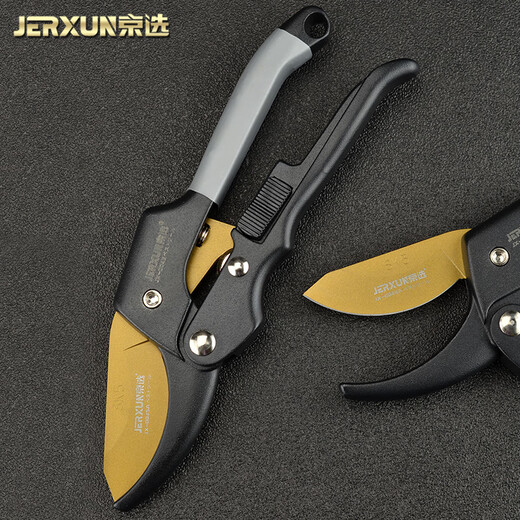 JERXUN imported pruning fruit tree pruning scissors garden pruning branches garden labor-saving flower pruning scissors household picking scissors