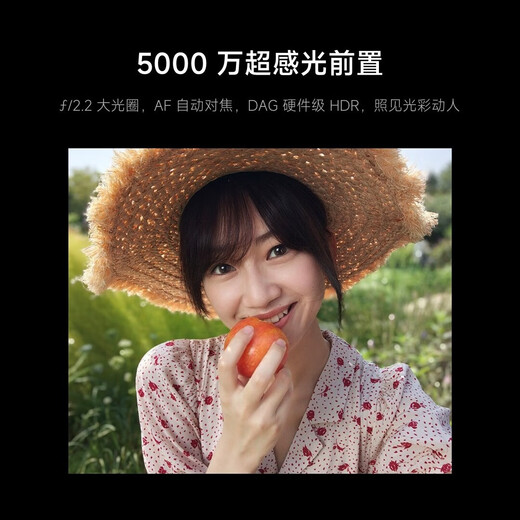 Xiaomi (MI) Mi 17 fifth generation Snapdragon 8 Extreme Edition Leica Imaging new flagship phone black 12GB+256GB official standard configuration