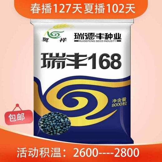 Original Ruifeng 168 corn seeds, stable yield, drought-tolerant, deep grain, capped, no bald tip, strong resistance, Ruifeng 168, 8000 grains in a bag