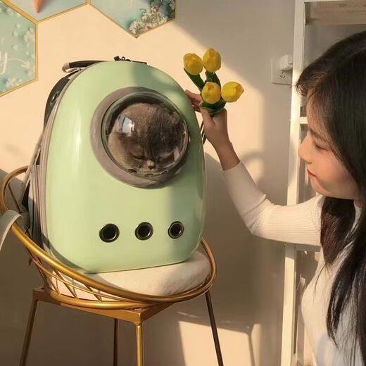 MODX Sac pour chat Sortie Sac portable Transparent Capsule spatiale Sac à dos Sac à dos pour chat Sac d'école pour chat Sac pour chien de grande capacité Fournitures pour animaux de compagnie Image principale Modèle Blanc Gris Or Cercle Style populaire Prix bas Réseau entier Meilleure vente Sans ouverture latérale Ensemble de quatre pièces