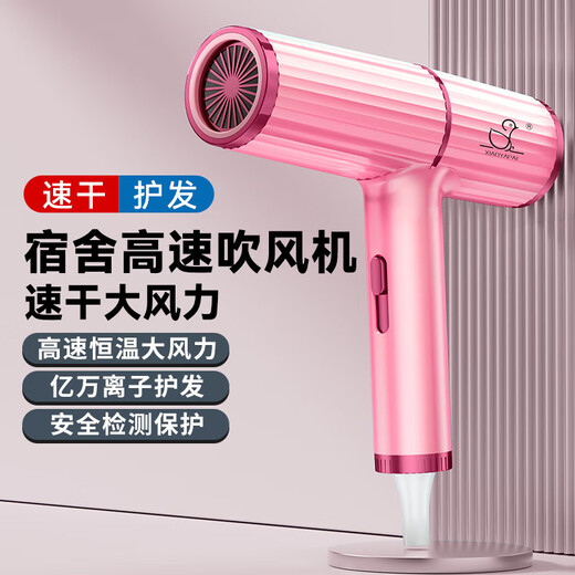 Hair dryer for home dormitory students negative ion blue hair care strong wind hot and cold air hair dryer unified professional version 6000 strong wind charm gray