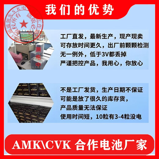 进口SEIZAIKEN007数字耳机电池317 458 V1 V2耳塞电子SR516SW3.2V SEIZAIKEN007电池独立装SR516SW 【持久耐用】10粒+1磁铁棒