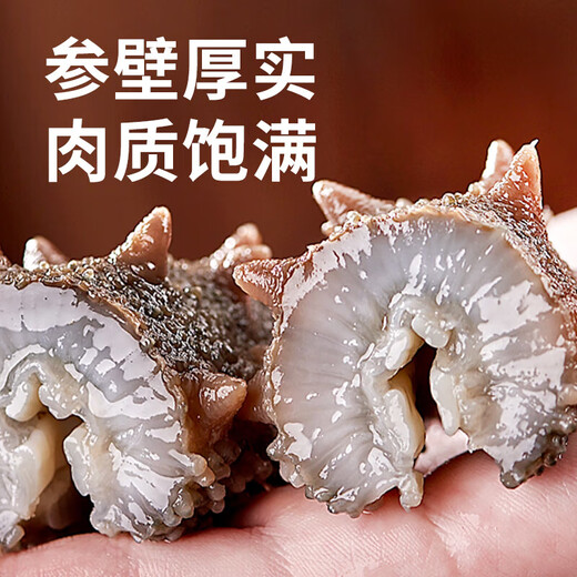 即食底播零添加刺参，固形物80%/滋补500g/8-20头/单装更方便 8-12头/斤 1000g优惠装