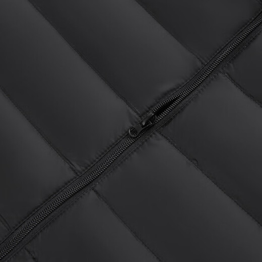 Flying in the Snow Autumn and Winter New Men's Stand Collar Lightweight Down Jacket Casual Short Duck Down Warm Down Jacket Versatile