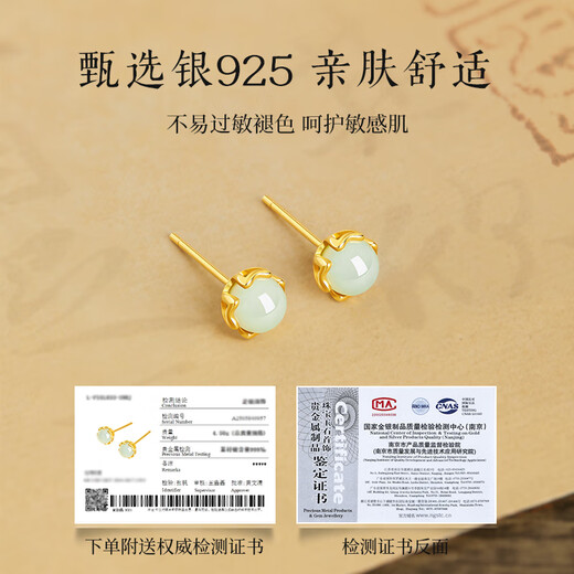 GLTEN Jade Silver Earrings Women's Earrings Drop Ring Temperament High-end Niche New Birthday Gift for Girlfriend Wife Mom