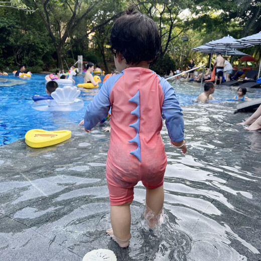 He Jiagong Children's Swimwear 2025 New One-piece Dinosaur Horn Sunscreen Surf Suit for Boys and Girls Infants and Toddlers Quick-drying Dry Swimming 251 Lake Blue 90 cm